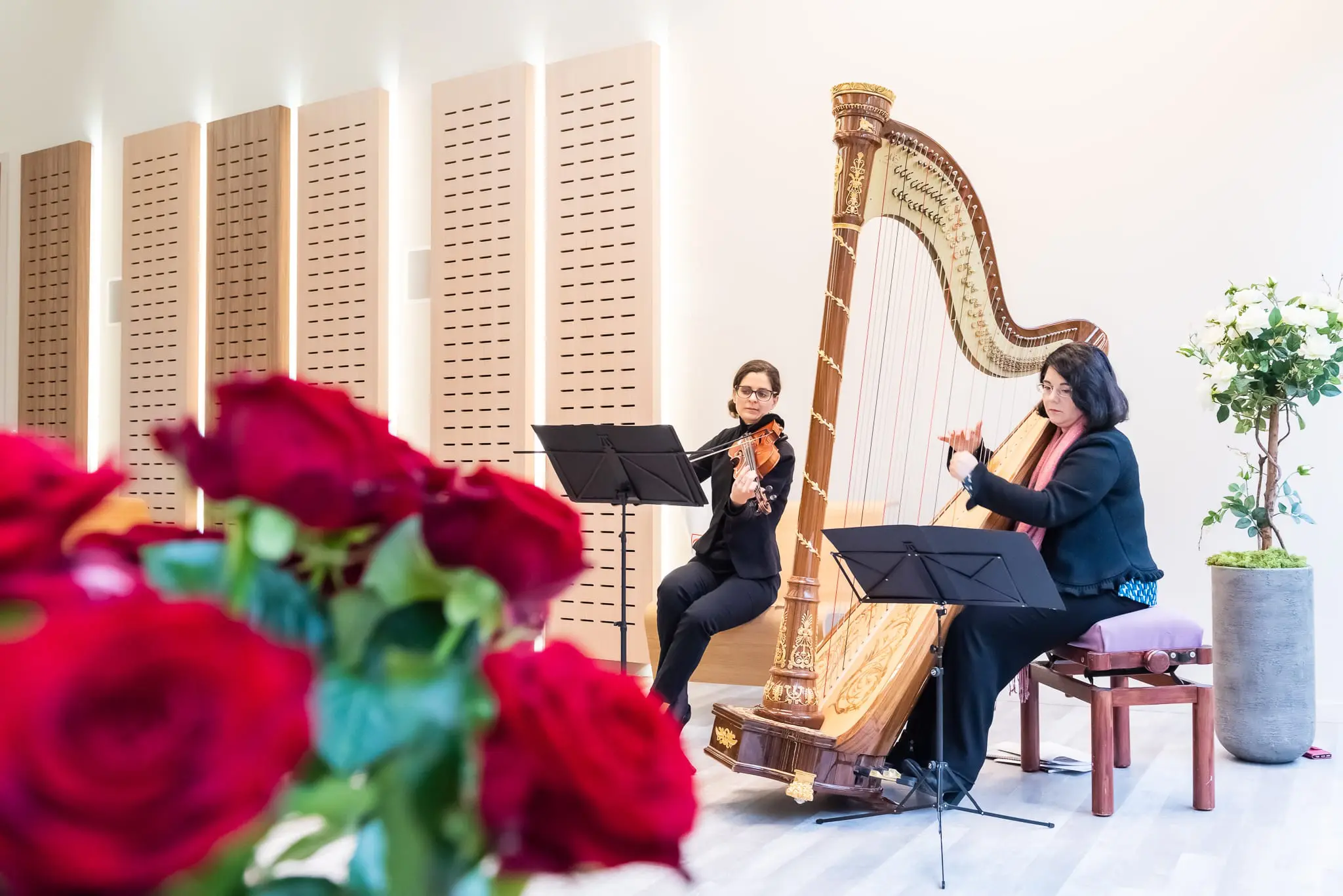duo violon harpe au crématorium - Elicci